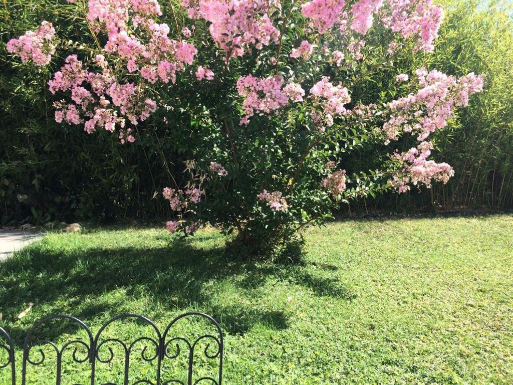 Cottage La Villa Bolero Saint-Cyr-sur-Loire Εξωτερικό φωτογραφία