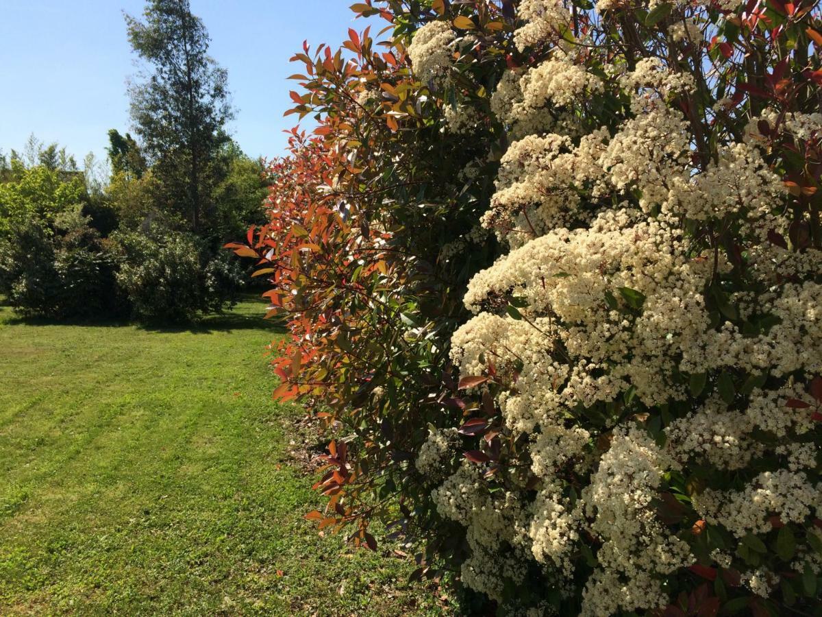 Cottage La Villa Bolero Saint-Cyr-sur-Loire Εξωτερικό φωτογραφία