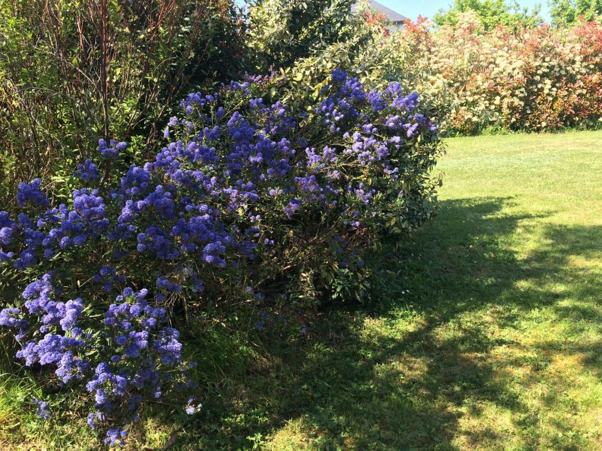 Cottage La Villa Bolero Saint-Cyr-sur-Loire Εξωτερικό φωτογραφία